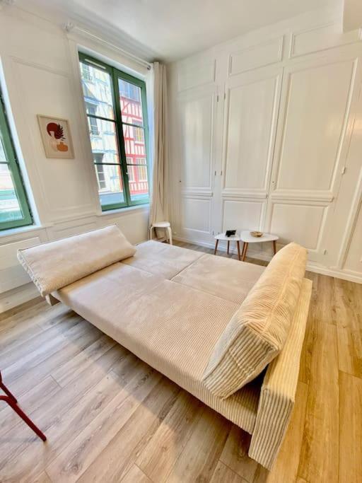 Le Cocon Du Robec Apartment Rouen Ngoại thất bức ảnh